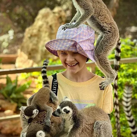 Ascos Coral Coral Bay