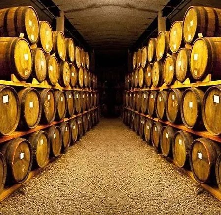 Ascos Coral فندق كورال باي