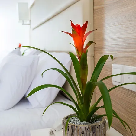 Ascos Coral 4* Coral Bay