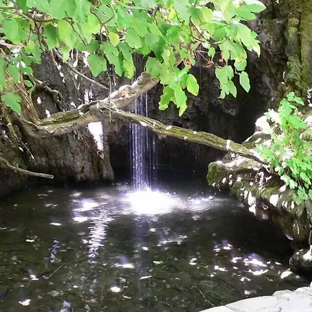 فندق Ascos Coral كورال باي