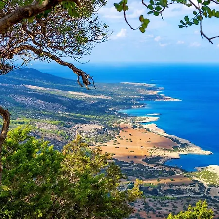 Ascos Coral 4* كورال باي