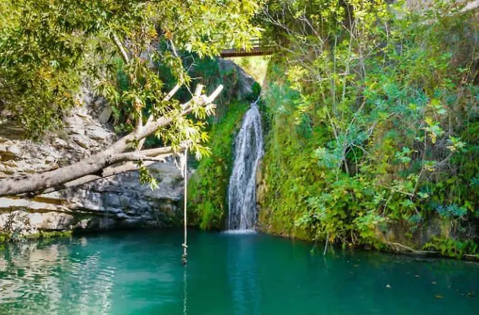 Hotel Ascos Coral 4*