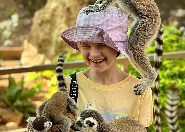 Ascos Coral Korall-öböl