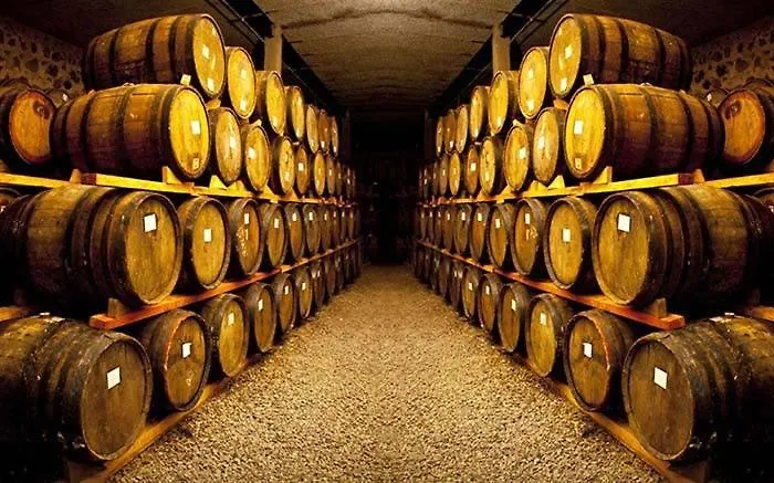 Ascos Coral Hotel Coral Bay