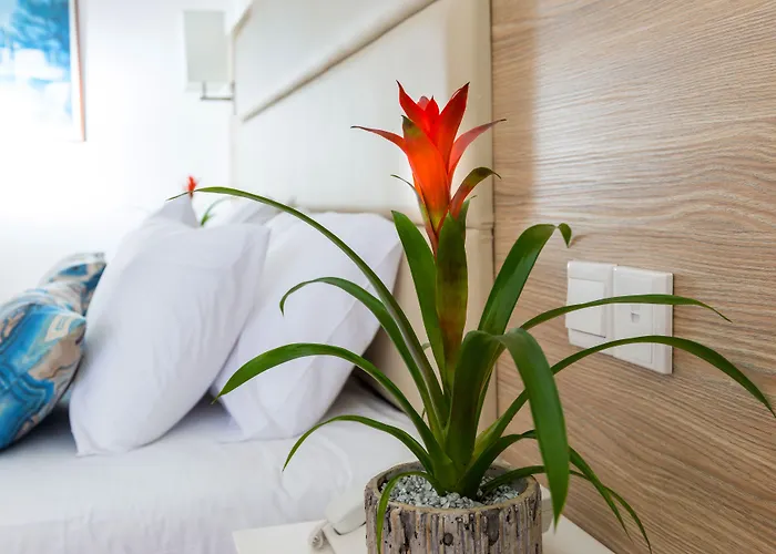 Ascos Coral 4* Korall-öböl