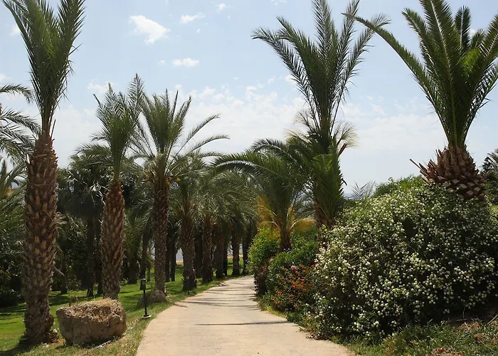 Ascos Coral 4* Coral Bay