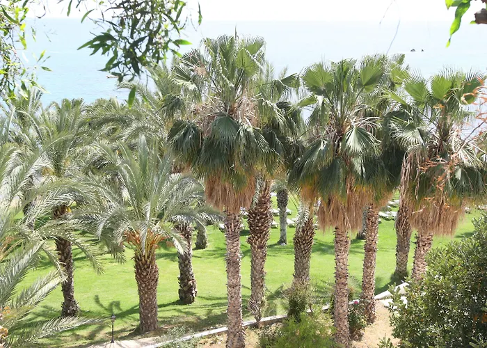 Ascos Coral Hotel Coral Bay